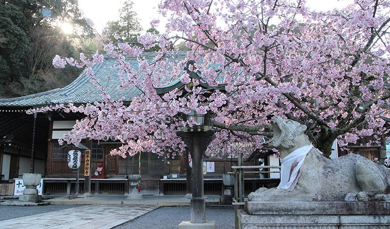 京都で十三参り撮影をした女の子の写真